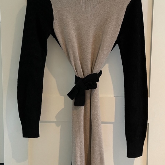 Club Monaco Arnettie Sweater Dress | XS - Picture 4 of 9